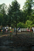 Leningrad-Petrodvorets-14July1985