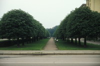 Leningrad-14July1985